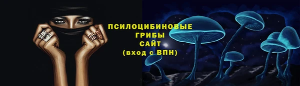 мескалин Богданович