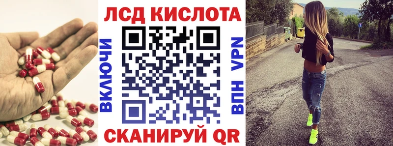 ЛСД экстази ecstasy  Новоржев 